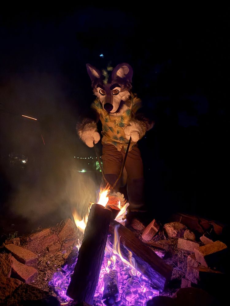 Grey furry tending a fire.
