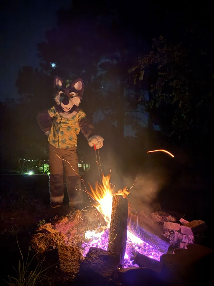 Grey furry posing gayly next to his fire. 