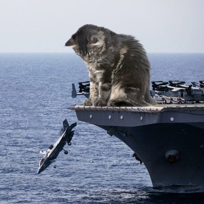 A cat sitting on an aircraft carrier, pushing a fighter jet into the sea and curiously watching it go.