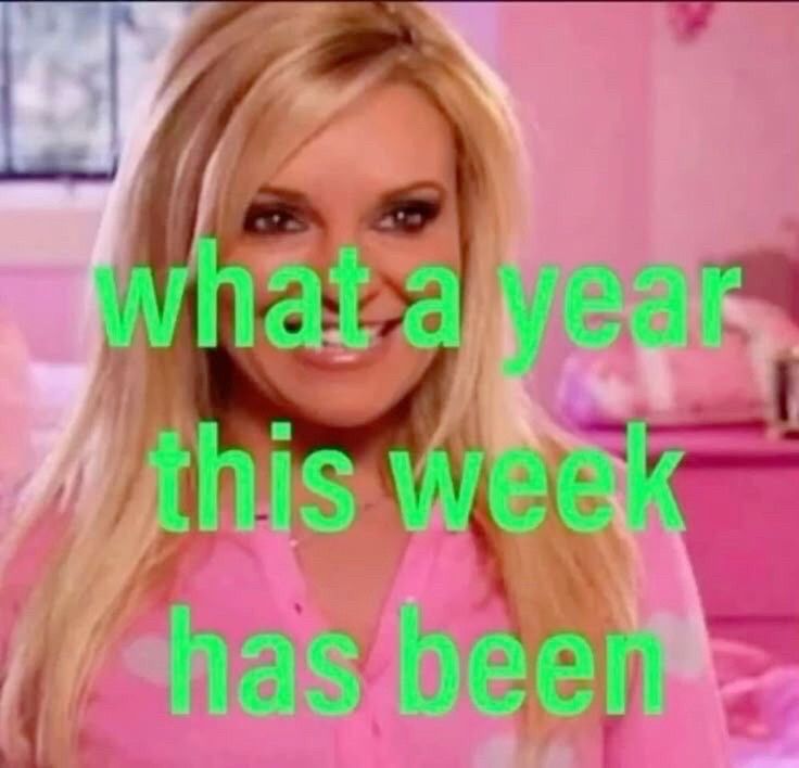 color image of Bridget Marquardt in all pink, in a pink room, with lime green text over her that reads "what a year this week has been"