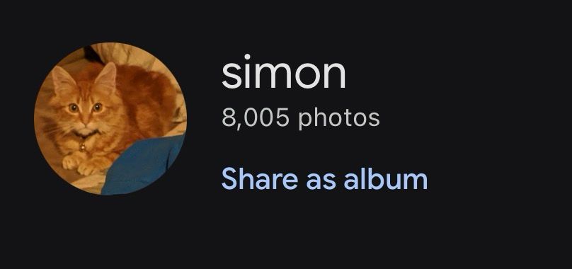screenshot of my photos simon album that has a small thumbnail of him as a baby orange cat

simon
8,005 photos
Share as album