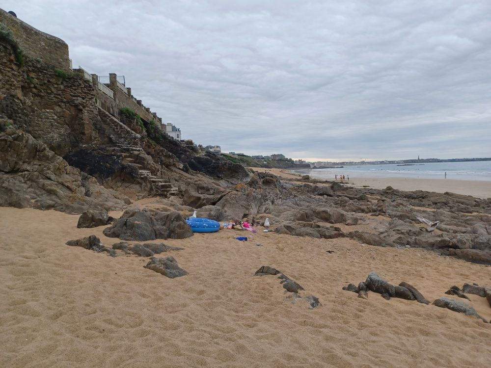 Plage du Minihic à Saint-Malo : goélands qui font une razzia sur le pique-nique d'estivants partis se baigner