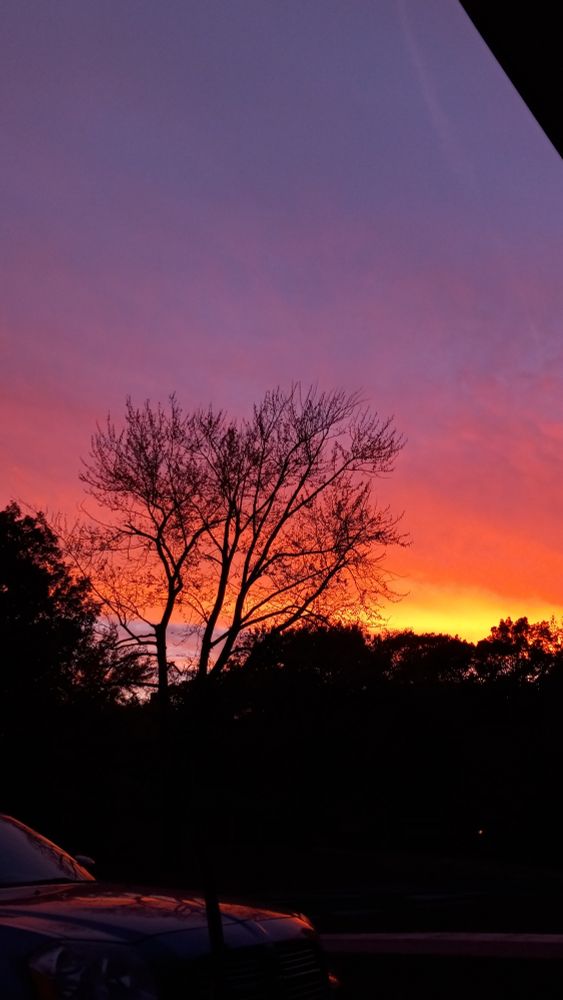 Picture of a vibrant sunset of purple pink and orange behind trees and a car in the foreground with the sunset reflecting on the car