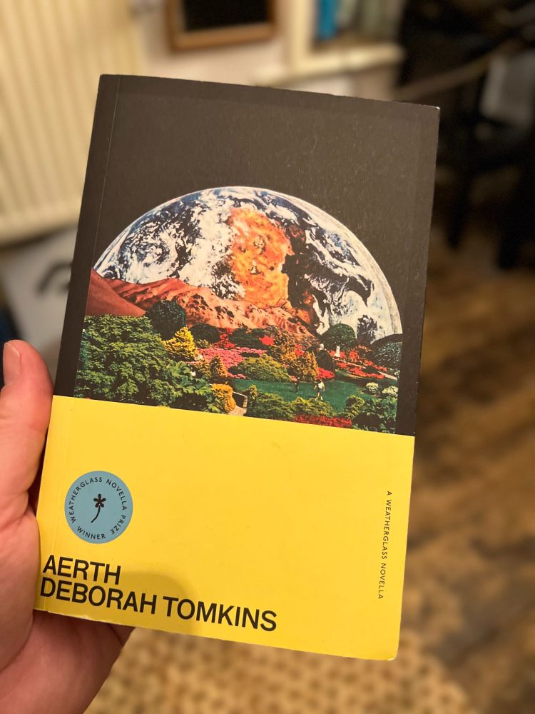 Photo of the cover of the novel Aerth by Deborah Tomkins