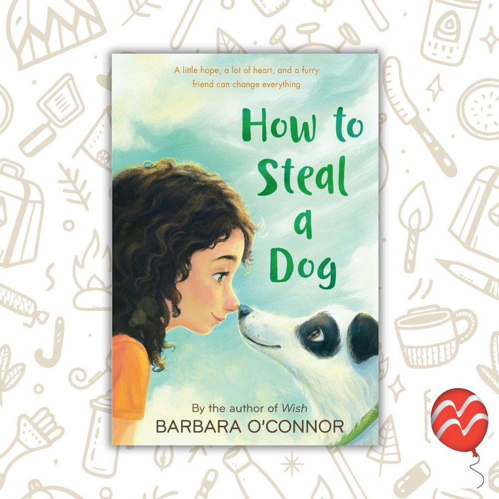 A book cover. The title is How to Steal A Dog by Barbara O'Connor. The cover is set against a background of various camping supplies.