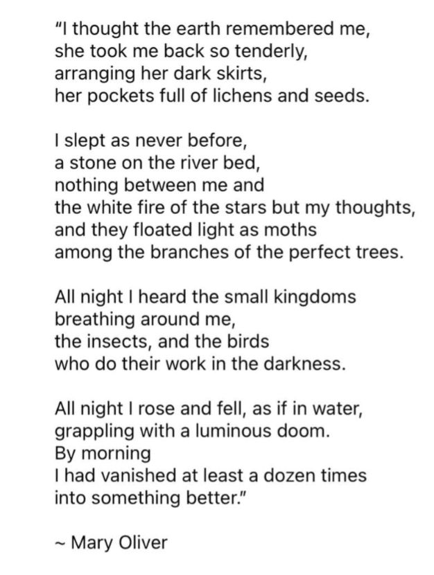 Nature Poem by Mary Oliver 