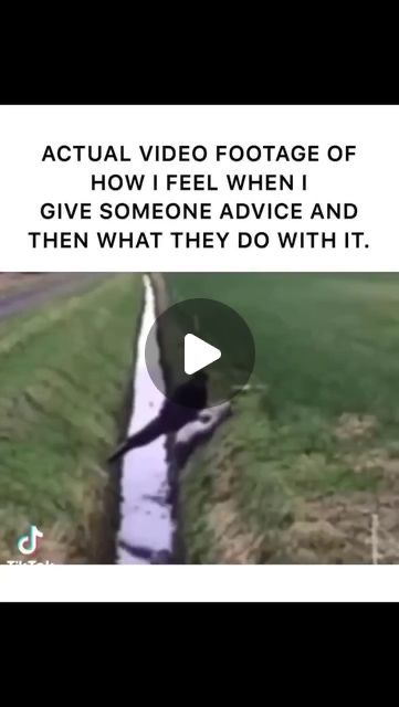 Age of Healers | Healing Community on Instagram: "The video never gets old 😁
When someone gives advice, it reflects their care and
support. They hope to help others navigate challenges
and make better...