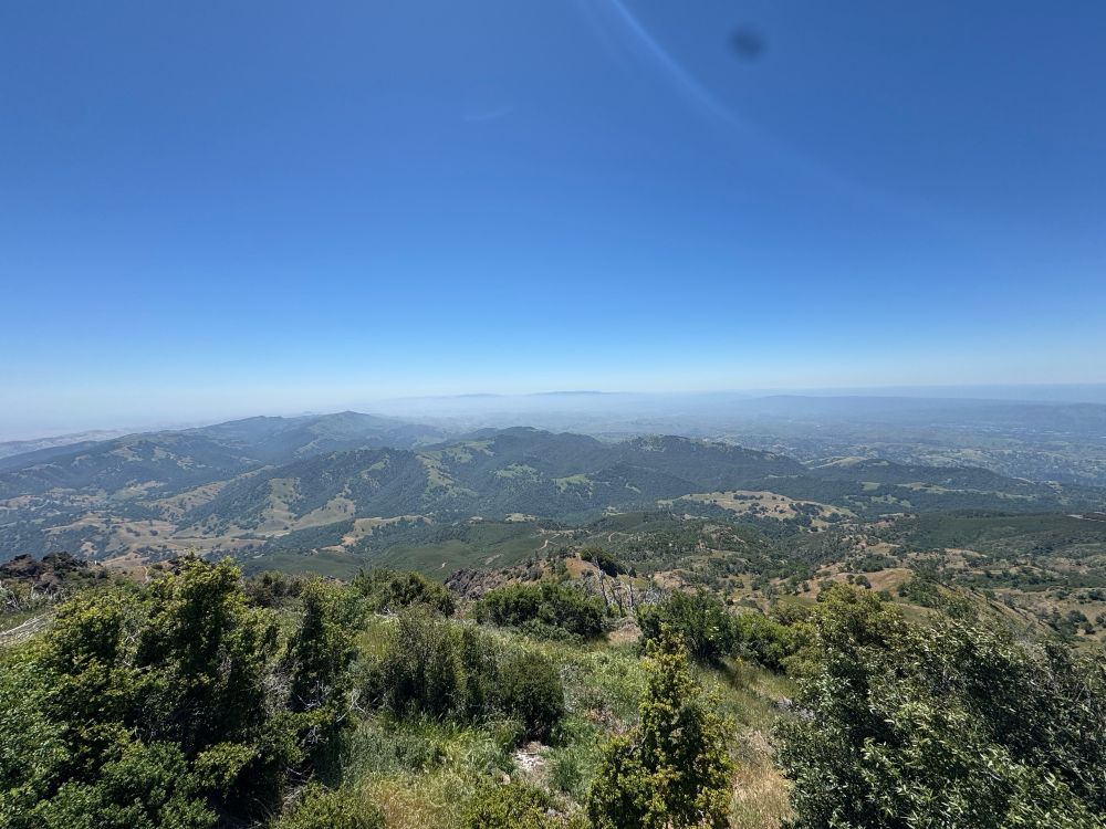 Small trees and bushes give way to lower greenish brown hills that meet the blue sky in a line of white on the horizon.