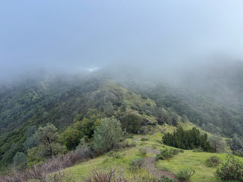 Green grass and shrubs line a dirt and rock trail along a ridge that disappears as it climbs into the clouds.