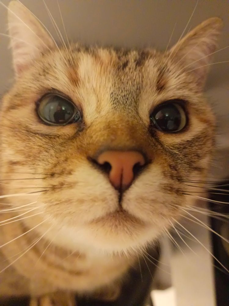 Photo d'un visage en gros plan