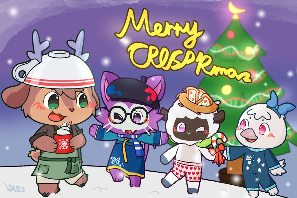 CocoaCaa Christmas 2024