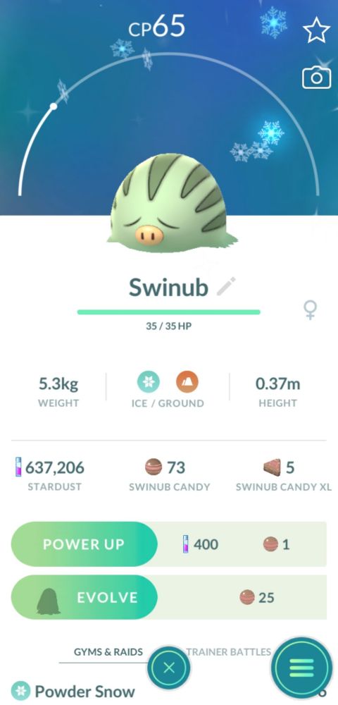 Shiny Swinub
