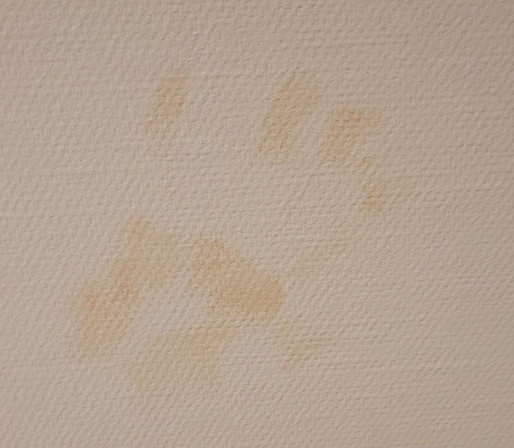 Et håndavtrykk i gammel størknet blod på en hvit vegg.