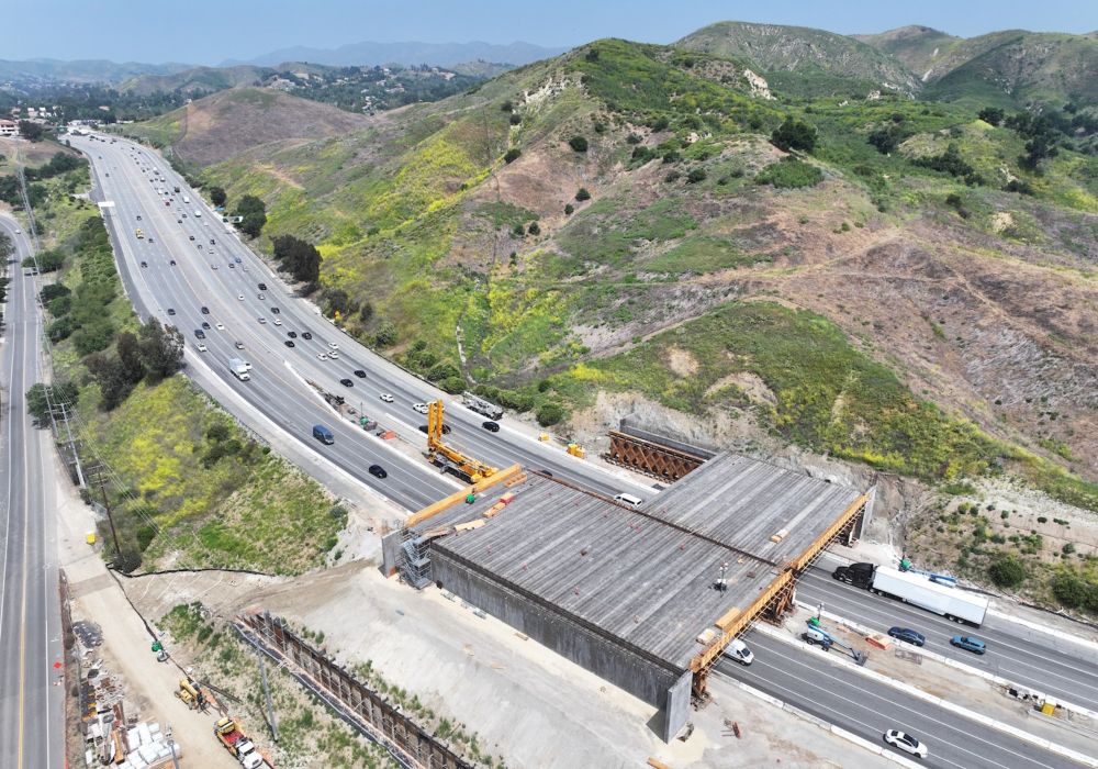 Amid roadkill epidemic, California builds world’s largest wildlife bridge