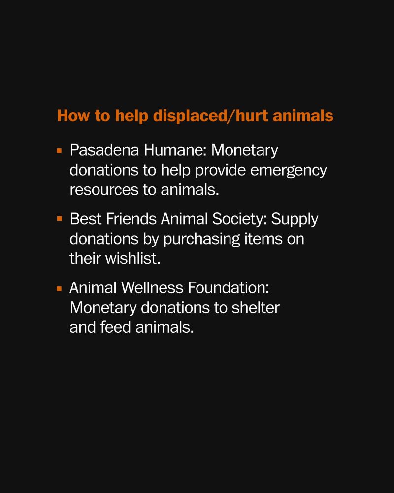 Text reads, "How to help displaced/hurt animals

- Pasadena Humane: Monetary donations to help provide emergency resources to animals.
- Best Friends Animal Society: Supply donations by purchasing items on their wishlist.
- Animal Wellness Foundation: Monetary donations to shelter and feed animals."