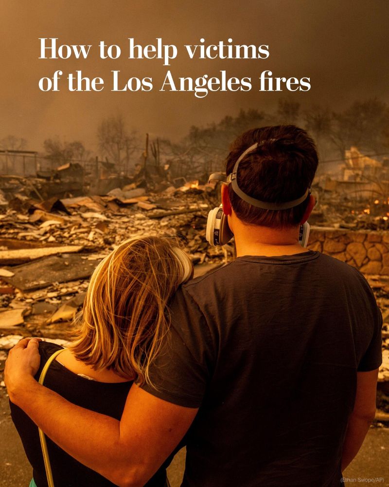 Two people look out at the damage caused by fires in Los Angeles. Text on photo reads, "How to help victims of the Los Angeles fires"