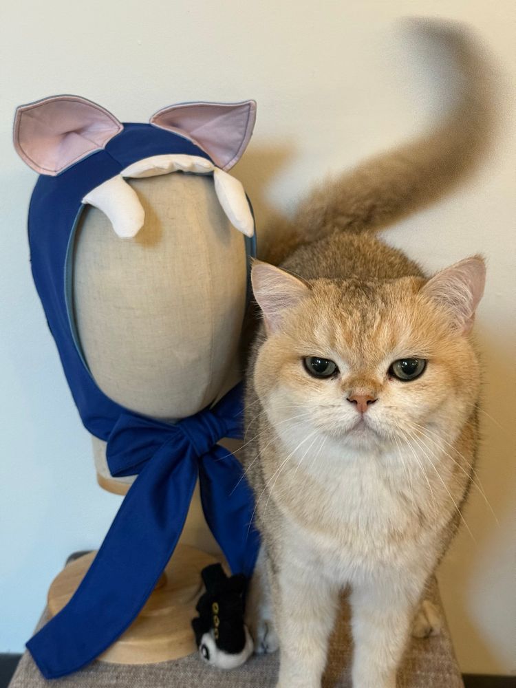 Derpy hood displayed on a mannequin head with a small felted Sussy and Chuck Bass my British short haired cat for scale