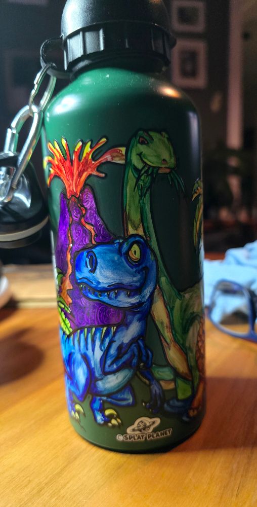 Volcano and colored dinosaur drink bottle 