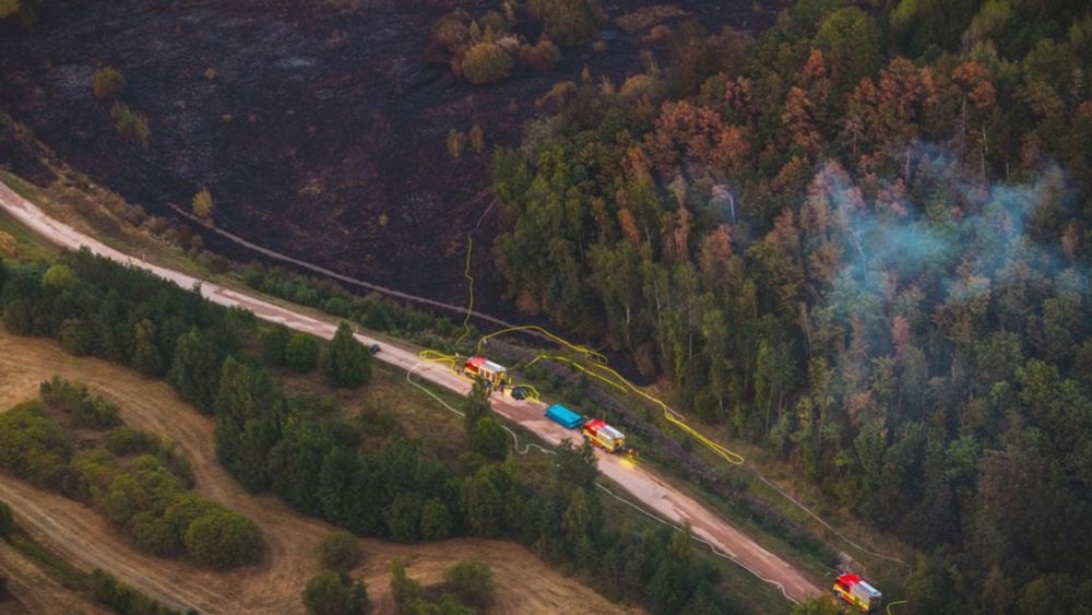 Deutschlands Wald ist von der CO2-Senke zur Quelle geworden  | MDR.DE