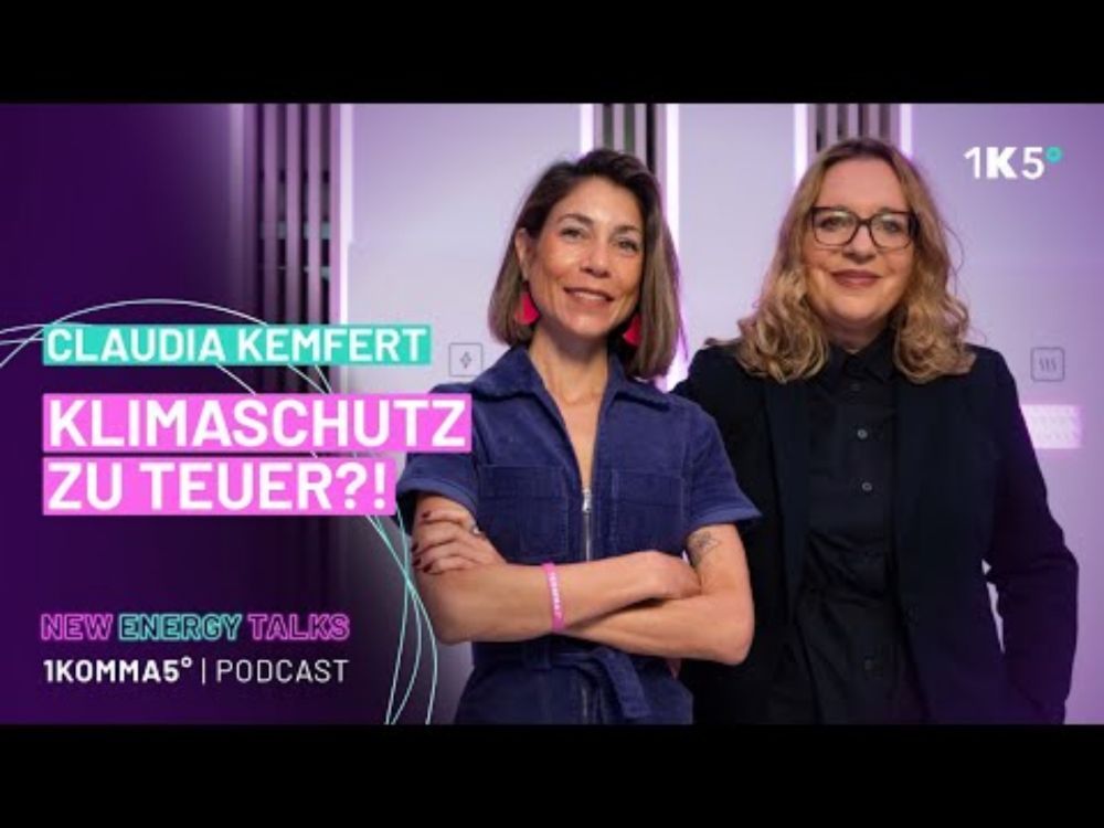 Was kostet es, wenn wir nichts tun, Claudia Kemfert? | 1KOMMA5° Podcast