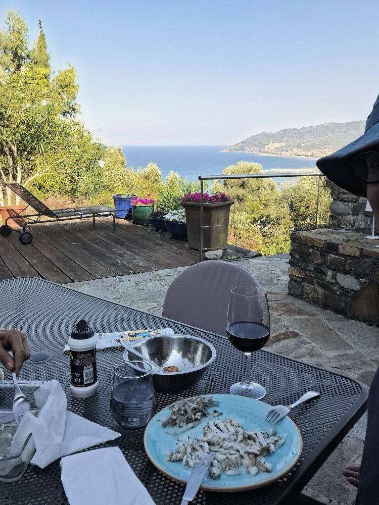 Latterini (Ährenfische) auf dem Teller im Vordergrund und Schatten, mit einem Glas Rotwein und Papierservietten. Im Hintergrund überbelichtet Bäume und dahinter das Meer