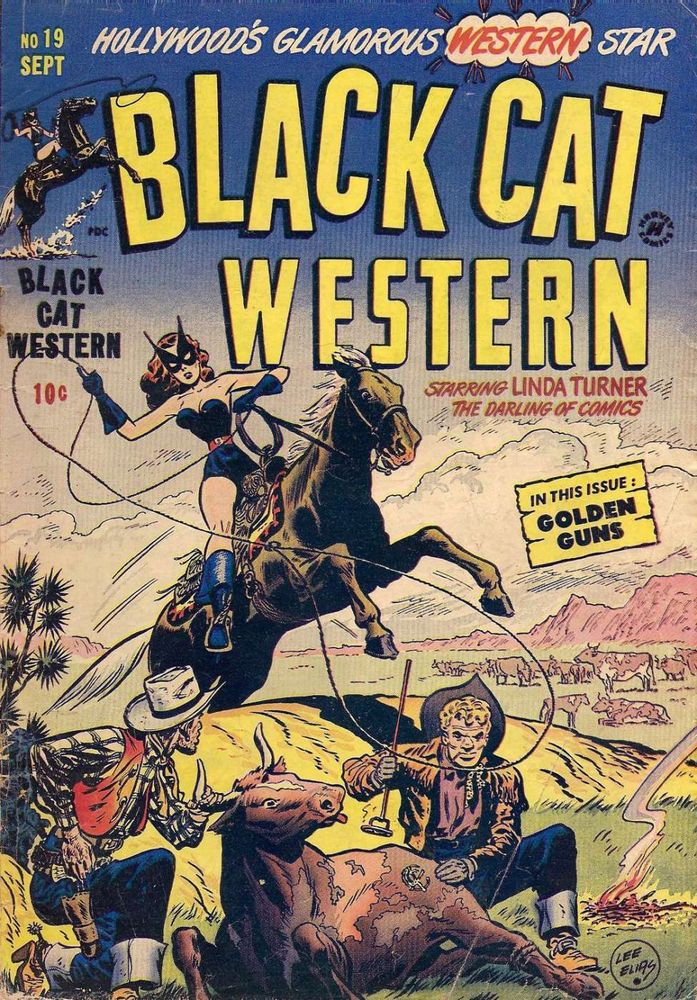 Black Cat Western #19 (1949). On the cover, there are two cowboys kneeling down by a bull, and one is about to brand it. The Black Cat has come up behind them, on a horse, and she is about to lasso one of them.