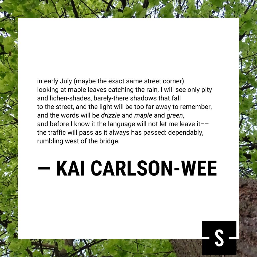 A graphic featuring a portion of Kai Carlson-Wee's poem. It reads:

in early July (maybe the exact same street corner)
looking at maple leaves catching the rain, I will see only pity
and lichen-shades, barely-there shadows that fall
to the street, and the light will be too far away to remember,
and the words will be drizzle and maple and green,
and before I know it the language will not let me leave it––
the traffic will pass as it always has passed: dependably,
rumbling west of the bridge.