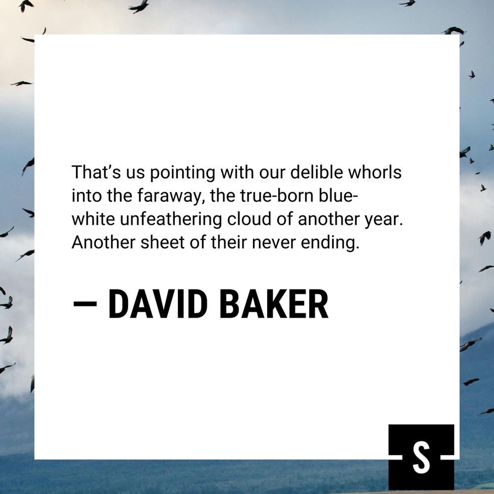 Graphic featuring a portion of David Baker's poem. It reads: 

That's us pointing with our delible whorls 
into the faraway, the true-born blue-
white unfeathering cloud of another year. 
Another sheet of their never ending.