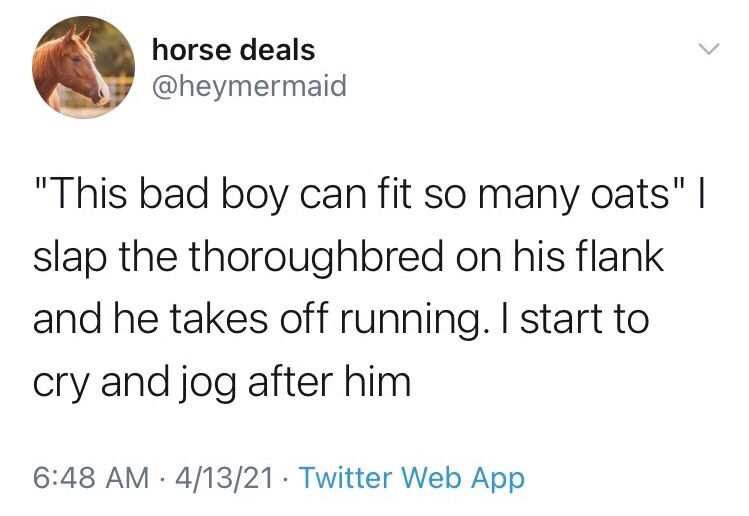 horse deals @heymermaid
"This bad boy can fit so many oats" I slap the thoroughbred on his flank and he takes off running. I start to cry and jog after him
