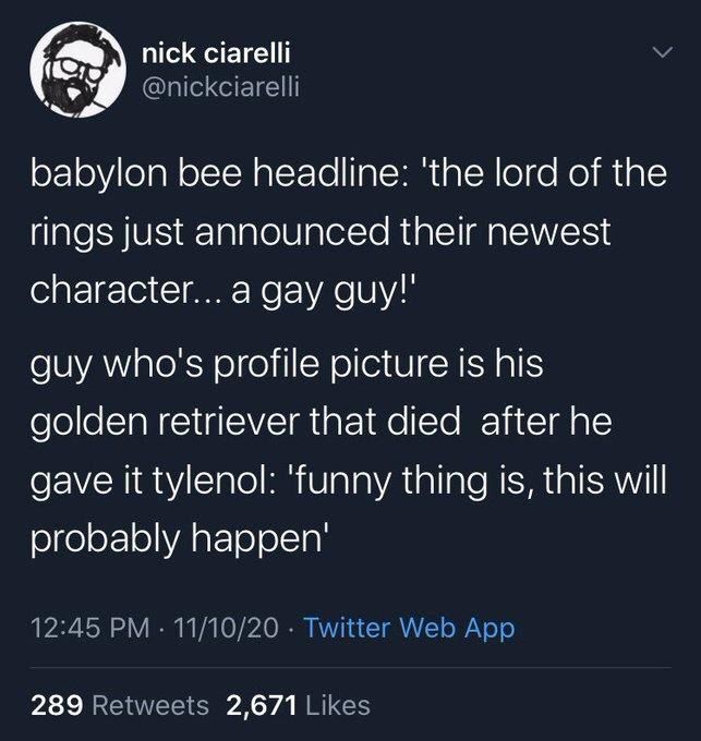 nick ciarelli @nickciarelli
babylon bee headline: 'the lord of the
rings just announced their newest character... a gay guy!'
guy who's profile picture is his golden retriever that died after he
gave it tylenol: 'funny thing is, this will probably happen'
