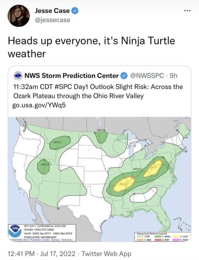 Jesse Case @jessecase
Heads up everyone, it's Ninja Turtle
weather

(Weather map with patterns that look like a smiling ninja turtle)