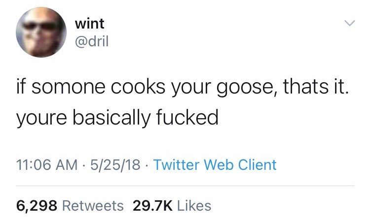 wint @dril
if somone cooks your goose, thats it. youre basically fucked
