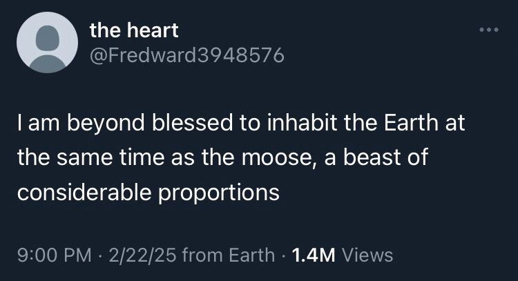 the heart
@Fredward3948576
I am beyond blessed to inhabit the Earth at
the same time as the moose, a beast of considerable proportions
