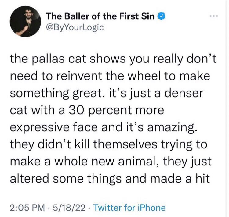 The Baller of the First Sin
@ByYourLogic
the pallas cat shows you really don't need to reinvent the wheel to make something great. it's just a denser cat with a 30 percent more expressive face and it's amazing. they didn't kill themselves trying to make a whole new animal, they just altered some things and made a hit
