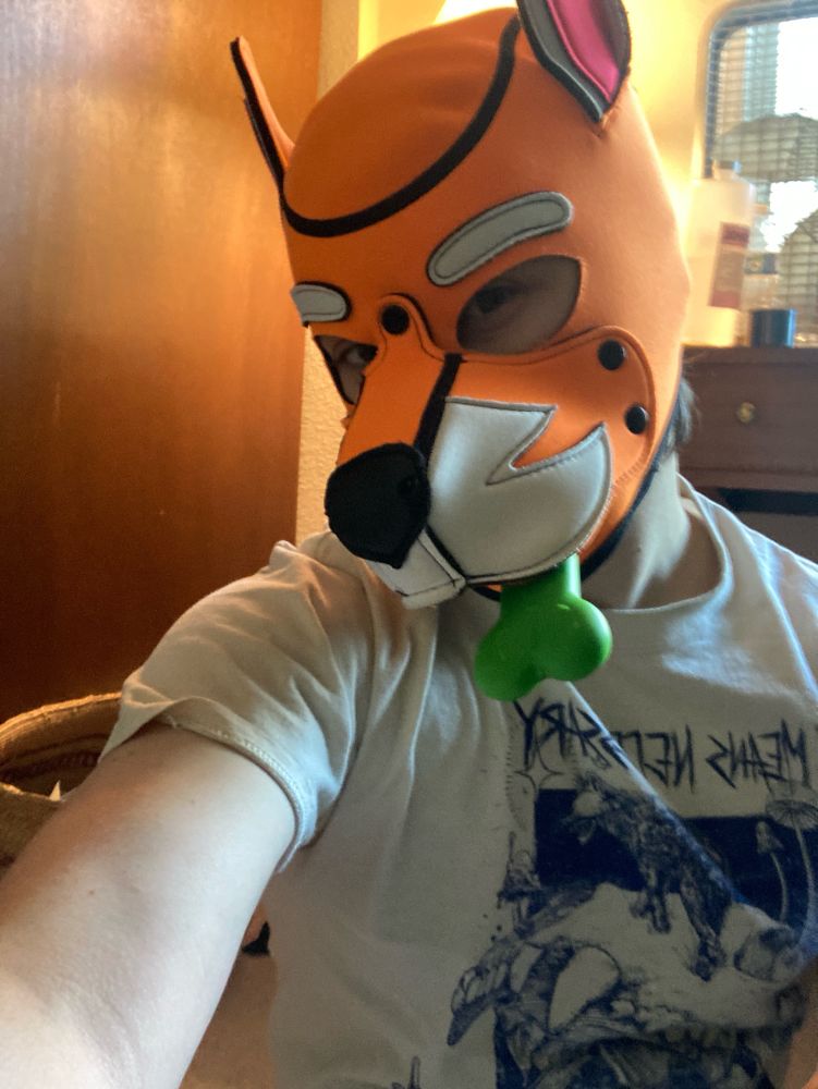 Selfie of a human pup in an orange and white fox hood, chewing on a green bone chew toy