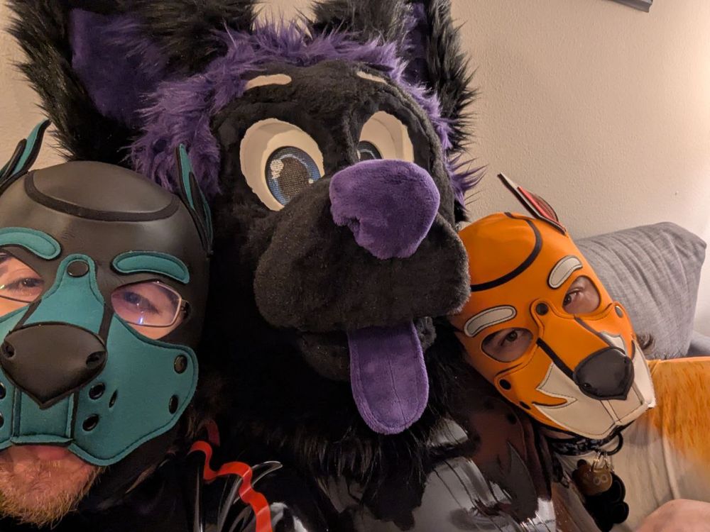 Three people in bodysuits. Two are wearing human pup hoods and the third is wearing a fur suit hood