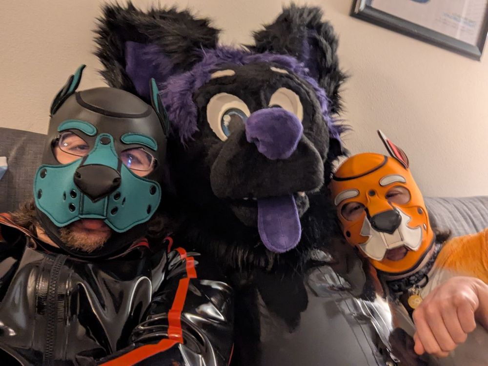 Three people in bodysuits. Two are wearing human pup hoods and the third is wearing a fur suit hood