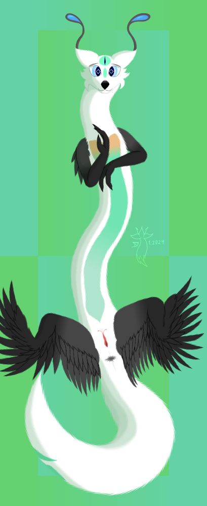 Indecima the quantum dragon
Quantum dragons are long furred dragons of white coat, with a turcoise belly and brownish chest. Their hindlegs have developed into wings. Quantum dragons posses the ability to superposition their entire being, making multiple decisions at once, but these collapsing into a random single one when they interact with something else. Both their clitoris and the head of their penises present antennae-like barbs that have some sensibility.