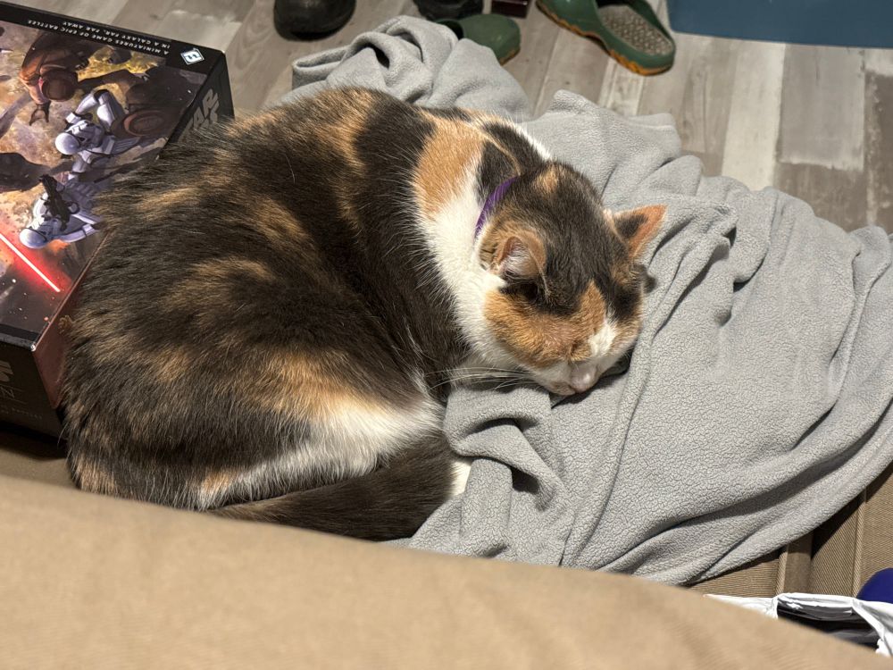Dilute calico cat named Trex sleeping on a grey fuzzy blanket next to a Star Wars legion box.  She’s all curled up being being 