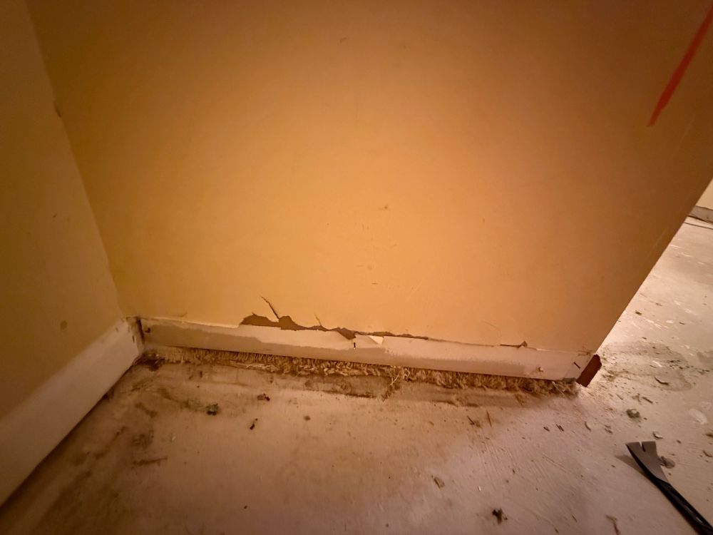 Baseboardless bottom of a yellow wall on a concrete floor.  On top of the concrete floor but below the drywall is shag carpet and padding.  The bottom 2x4 of the wall was put on top of the carpet 