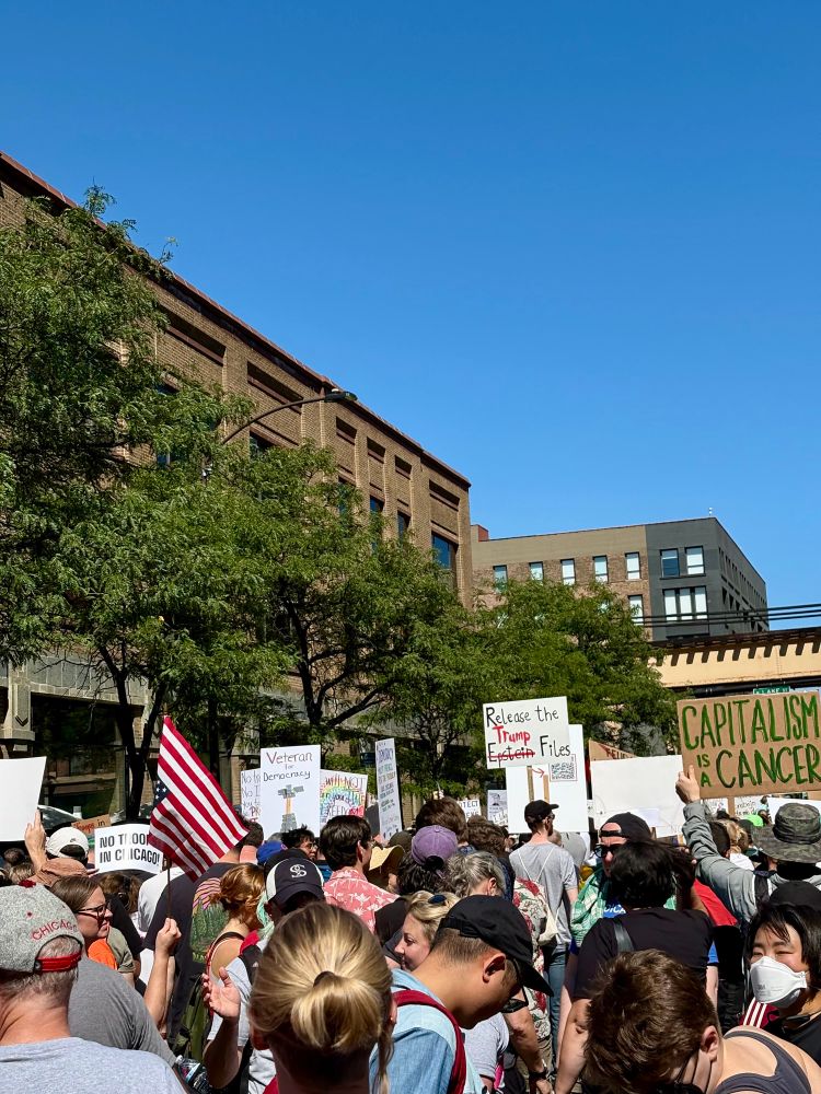 Crowd of signs at a protest 