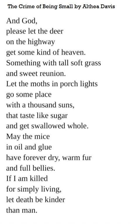 The Crime of Being Small by Althea Davis

And God, please let the deer on the highway get some kind of heaven.
Something with tall soft grass and sweet reunion.
Let the moths in porch lights go some place with a thousand suns, that taste like sugar and get swallowed whole.
May the mice in oil and glue have forever dry, warm fur and full bellies.
If I am killed for simply living, let death be kinder than man.