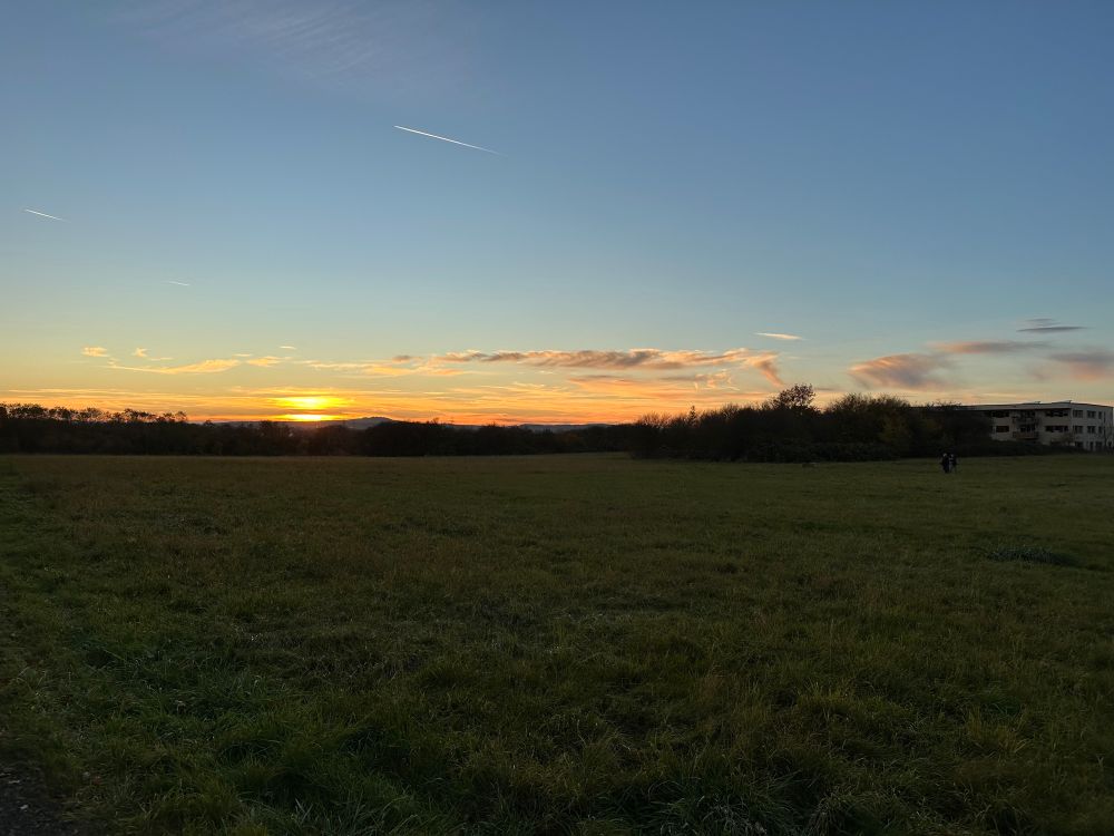 Ein Sonnenuntergang bei blauem Himmer und nur wenigen Wolken. Im Vordergrund eine Wiese. Rechts im Bild ein Wohngebiet. Und zwei Männer mit Hunden auf Entfernung. 