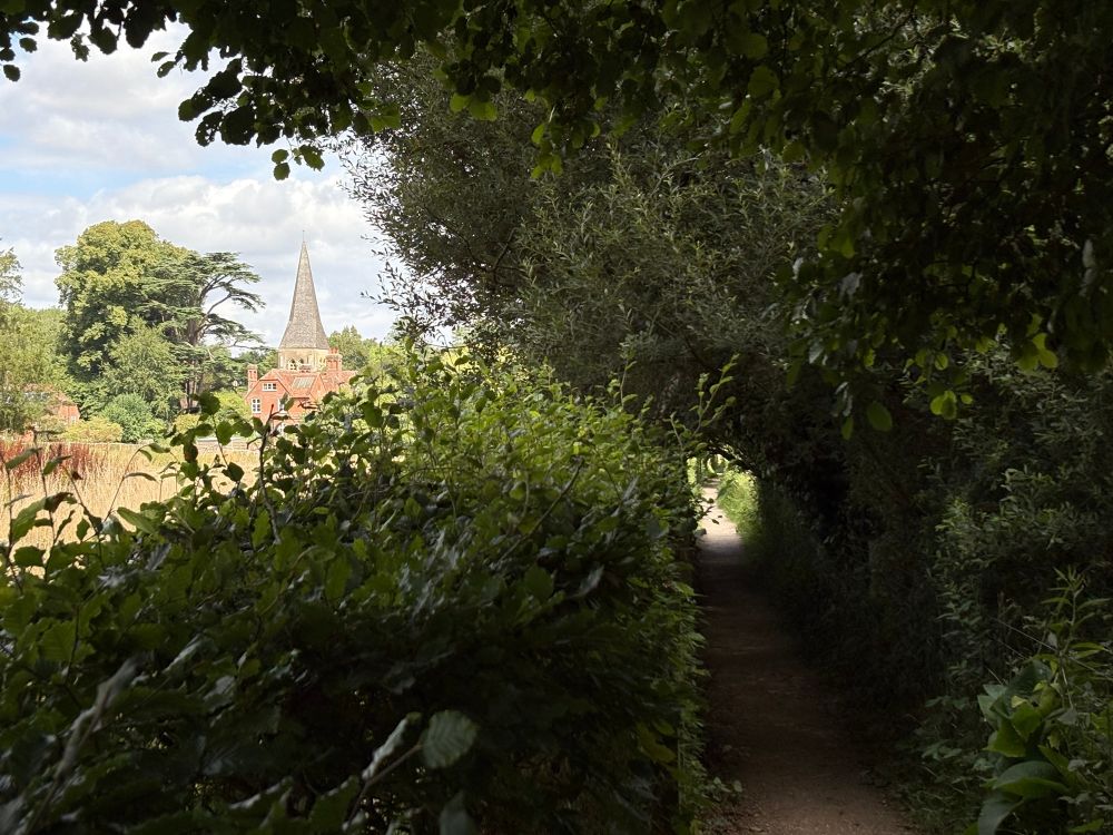 On the right, a walking path heads through a natural plant tunnel. On the left, a church steeple can be seen in the distance, across a field that is partially hidden by a field