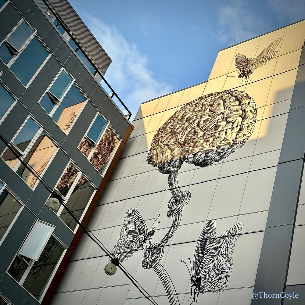 Looking up at a mural of a brain with an electrical cord attached, and butterflies flitting around. Mural is partially reflected in the building next to the tall wall.