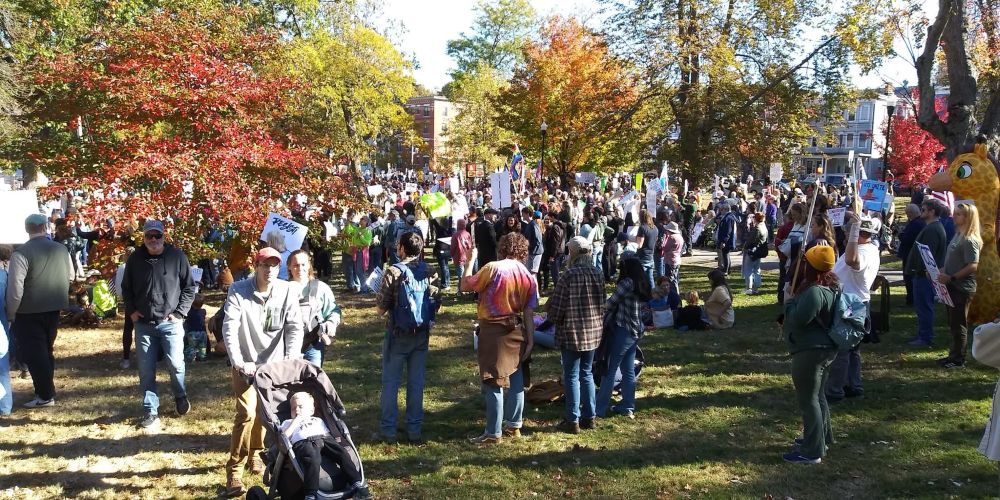 Photo of rally goers at the Portland, Maine No Kings Protest. 