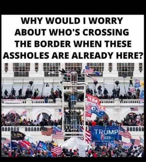 Caption: Why would I worry about who’s crossing the border when these assholes are already here?
Photo: Trump terrorists attacking Capitol Building on Jan 6, 2021, holding their “Trump 2020” banners high. 