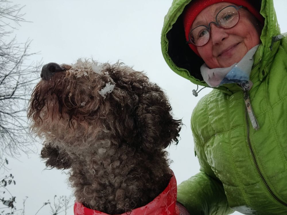 Lagotto-koira Kaffella on lunta poskikarvoissa, taustalla Riitta toppatakin huppu päässä ja silmälasit sateesta märkinä.