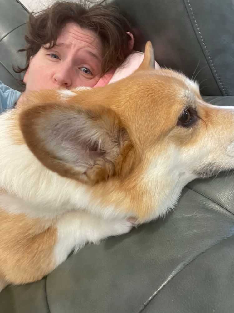Matcha the corgi cuddling next to his very confused and sweaty mom on the couch