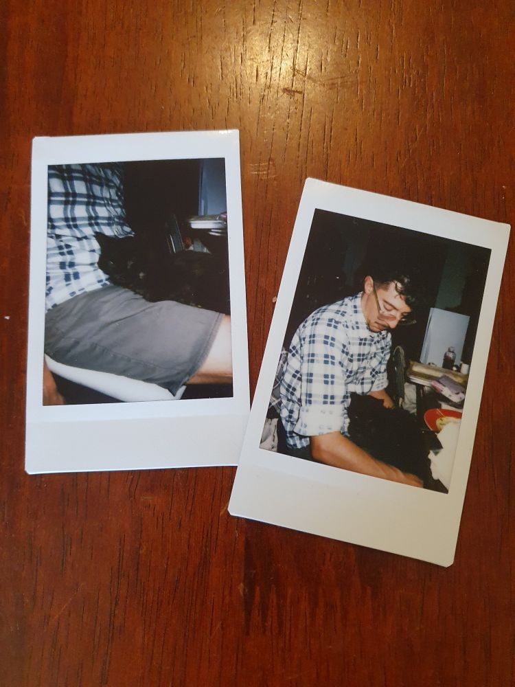 Two polaroids on a wooden background. On the left, a shadow black cat on a lap. On the right, the same image but further out, a man in a flannel shirt in glasses, holding the cat.
